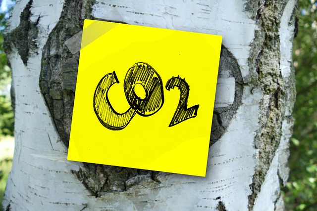 carbon-footprint.jpg