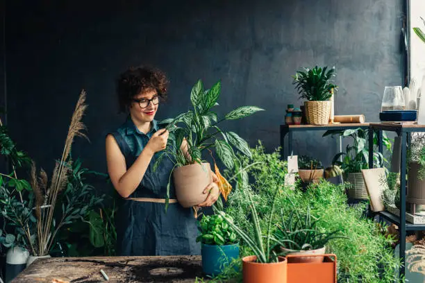istockphoto-1225272916-612x612-1.webp